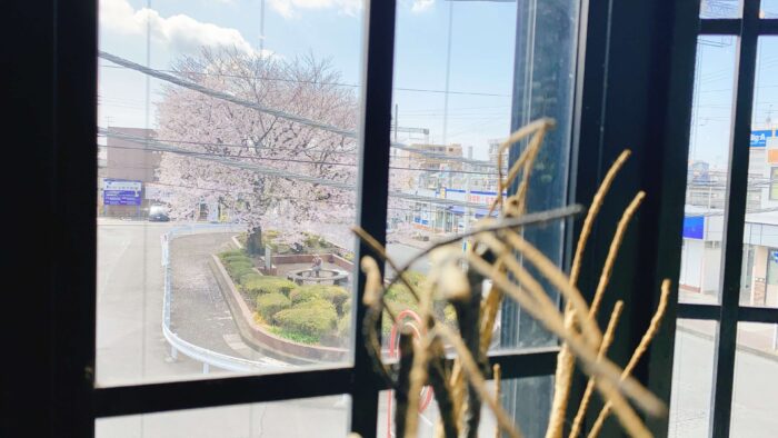 大和市福田「カフェかじふち」窓の桜とロータリー