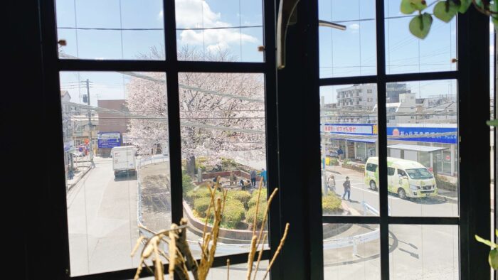 大和市福田「カフェかじふち」窓からの桜とロータリー