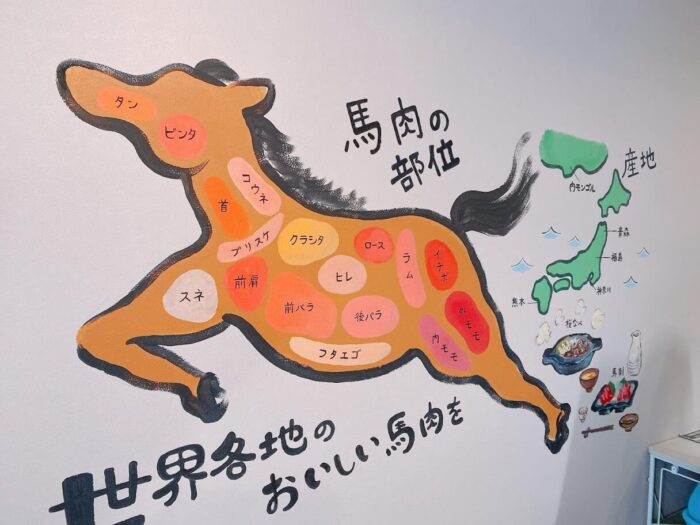 神奈川県大和市鶴間「馬肉屋さくら商店」店内の馬肉部位と産地のイラスト