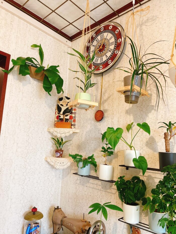 大和市鶴間「トトモズキッチン」観葉植物、掛け時計など