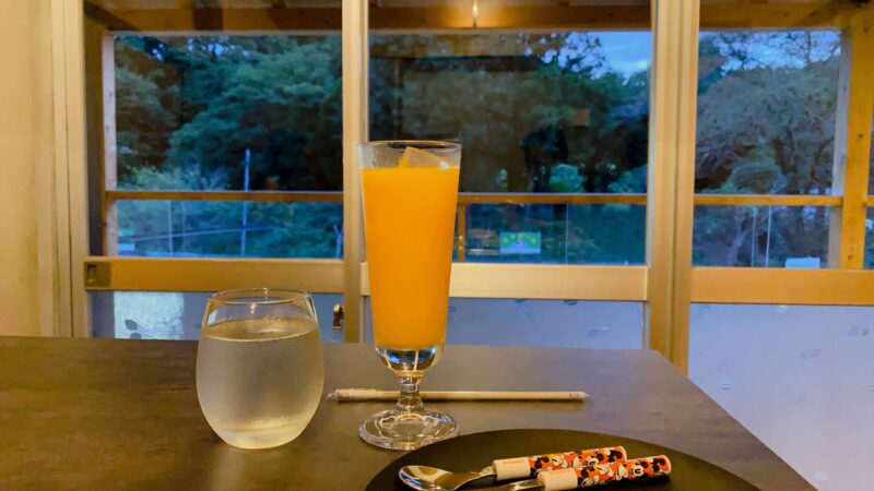 大和市上草柳「龍牛ノ庭」オレンジジュースと夕暮れ