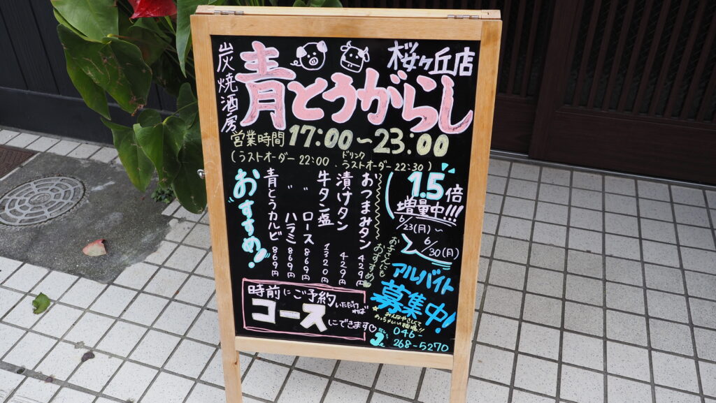 大和市桜ヶ丘駅近「青とうがらし」